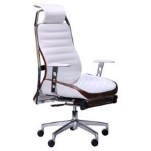 Кресло Raptor Кресло Raptor